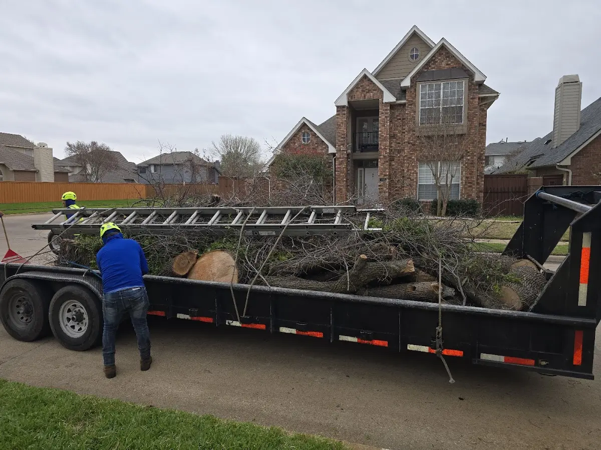 Expert Lot Clearing with proper safety equipment in Atwood